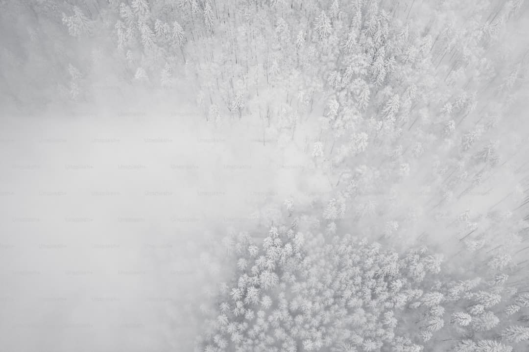 谁是孔门最可爱的弟子